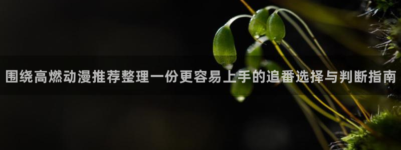 免费动漫推荐app：围绕高燃动漫推荐整理一份更容易上手的追番选择与判断指南