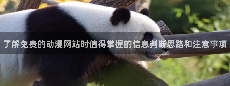 穿越动漫