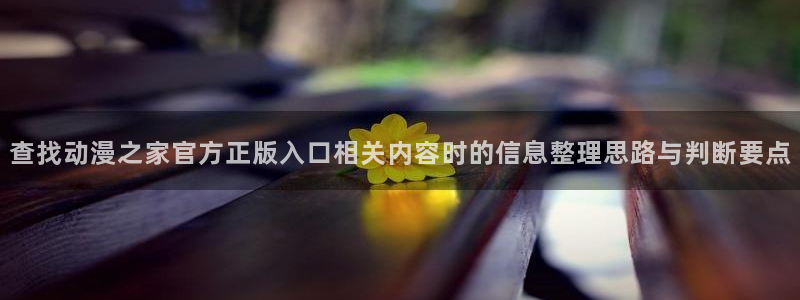 阿衰动画片全集免费