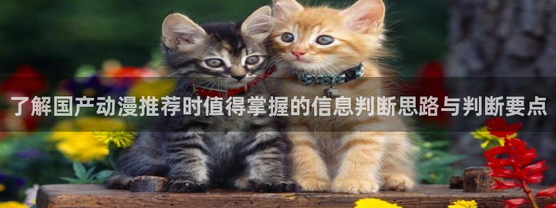动漫推荐深夜:了解国产动漫推荐时值得掌握的信息判断思路与判断要点