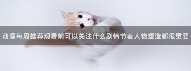 风车动漫在线