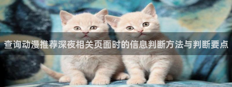 王者同人动漫