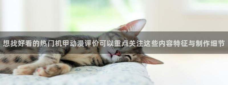动漫同人小说:想找好看的热门机甲动漫评价可以重点关注这些内容特征与制作细节