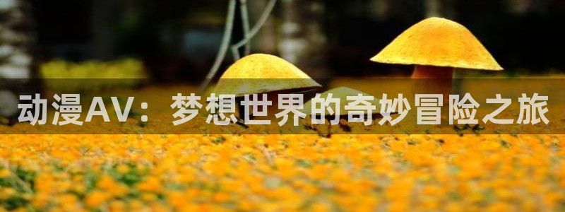对魔忍浅葱动漫:动漫AV:梦想世界的奇妙冒险之旅